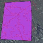 1974 Fire 29 December 1974