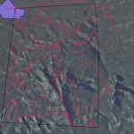 1982 Fire 07 December