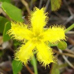 Vogelgat_hermanus_hiking_002016jpg