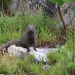 Vogelgat_hermanus_hiking_002023jpg