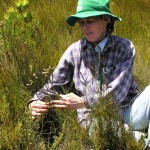 Vogelgat_hermanus_hiking_00204jpg