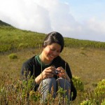 Vogelgat_hermanus_hiking_00205jpg